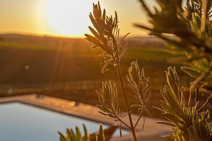 Location de vacances pour 15 personnes, avec sauna et piscine ainsi que jardin et jacuzzi, adapté aux familles à Castelmoron-sur-Lot - 4