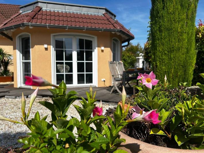Ferienhaus für 4 Personen, mit Garten und Pool sowie Terrasse in Rheinhessen