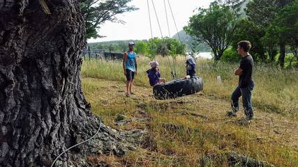 Holiday Home for 24 People in Wellington, Photo 3