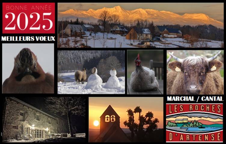 Gîte pour 15 personnes, avec terrasse ainsi que vue sur le lac et jardin à Champs-sur-Tarentaine-Marchal - 2