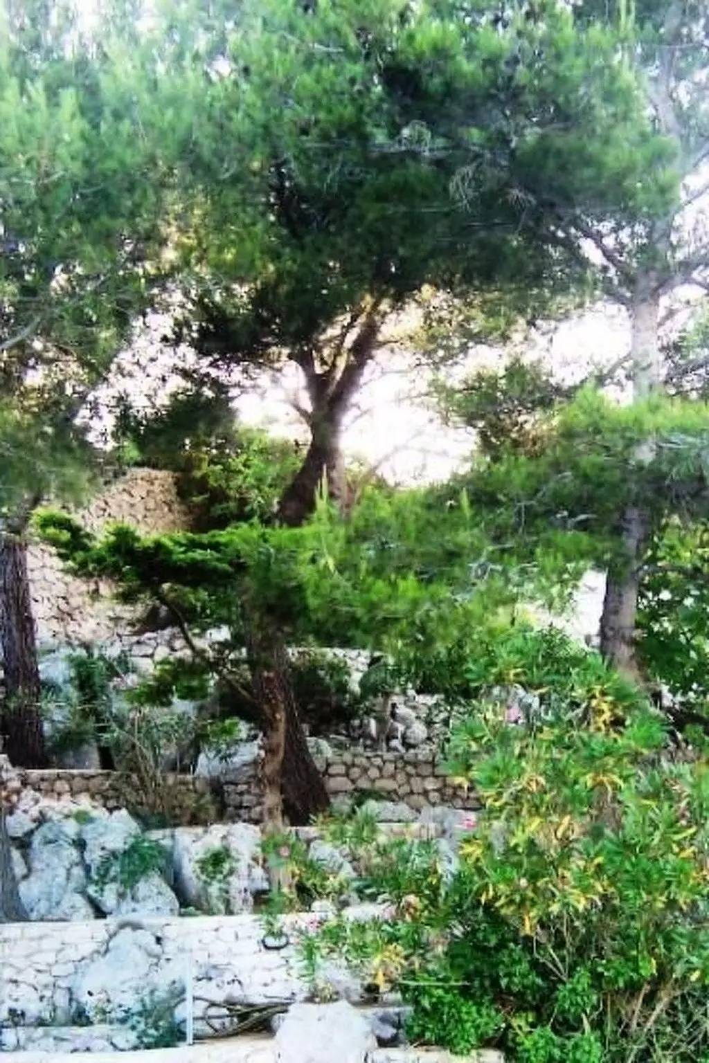 Haus 7 Personen in Castro Marina, Castro (Lecce)