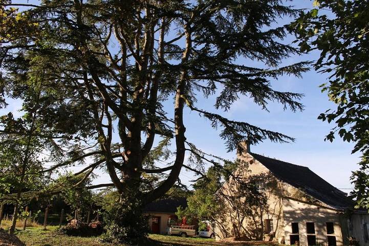 Location de vacances pour 15 personnes, avec jardin ainsi que piscine et vue, animaux acceptés dans Saint-Aubin-le-Dépeint