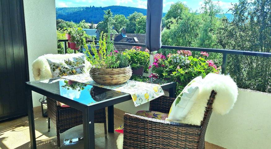 Ferienwohnung für 3 Personen, mit Balkon in Bad Harzburg - 3