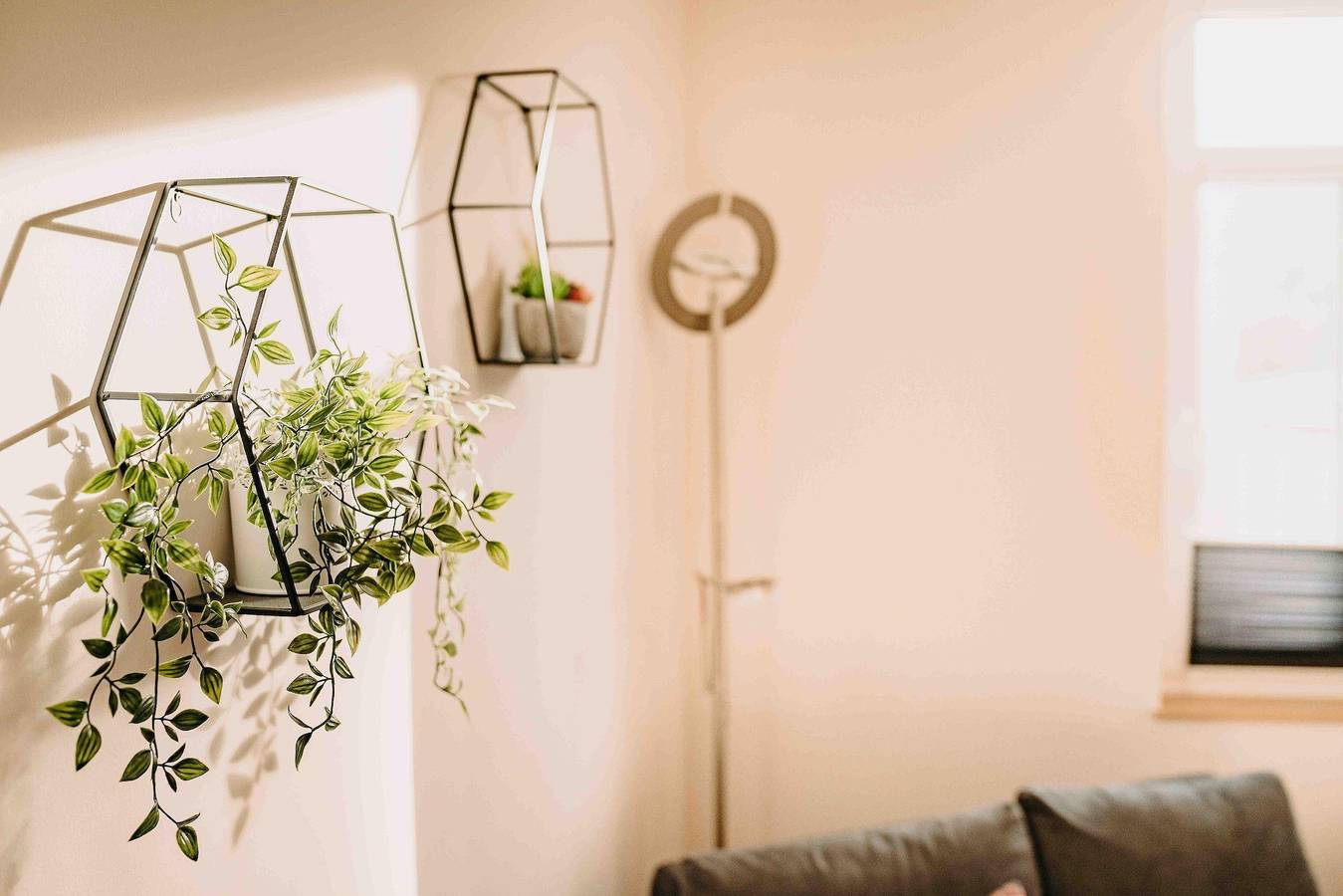 Ganze Ferienwohnung, Sonneneck 1 in Hahnenklee, Goslar