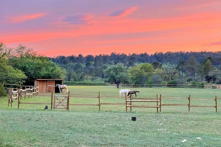 Le Charme D'une Cabane, le Confort en Plus in Aups, Brignoles Region