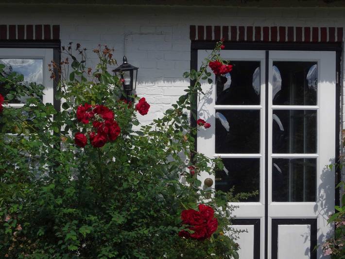 Ferienwohnung für 2 Personen, mit Garten und Sauna in Pommerby - 2