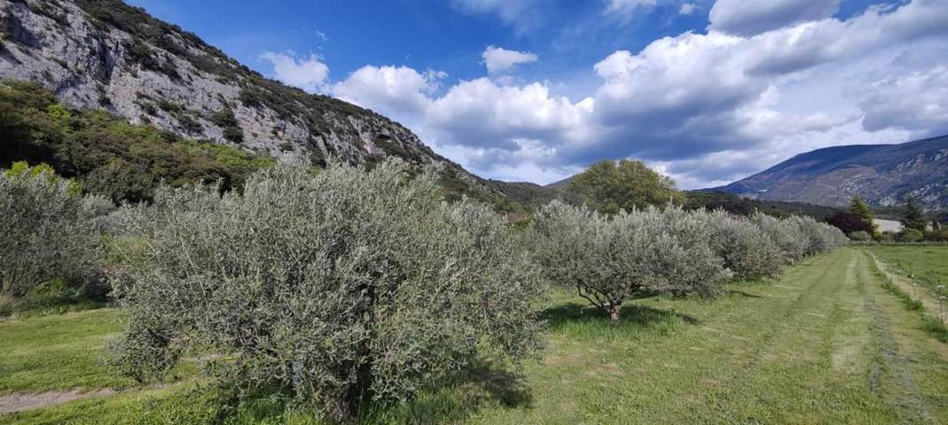 Location de vacances pour 2 personnes, avec jardin et piscine à Beaumont-du-Ventoux - 2