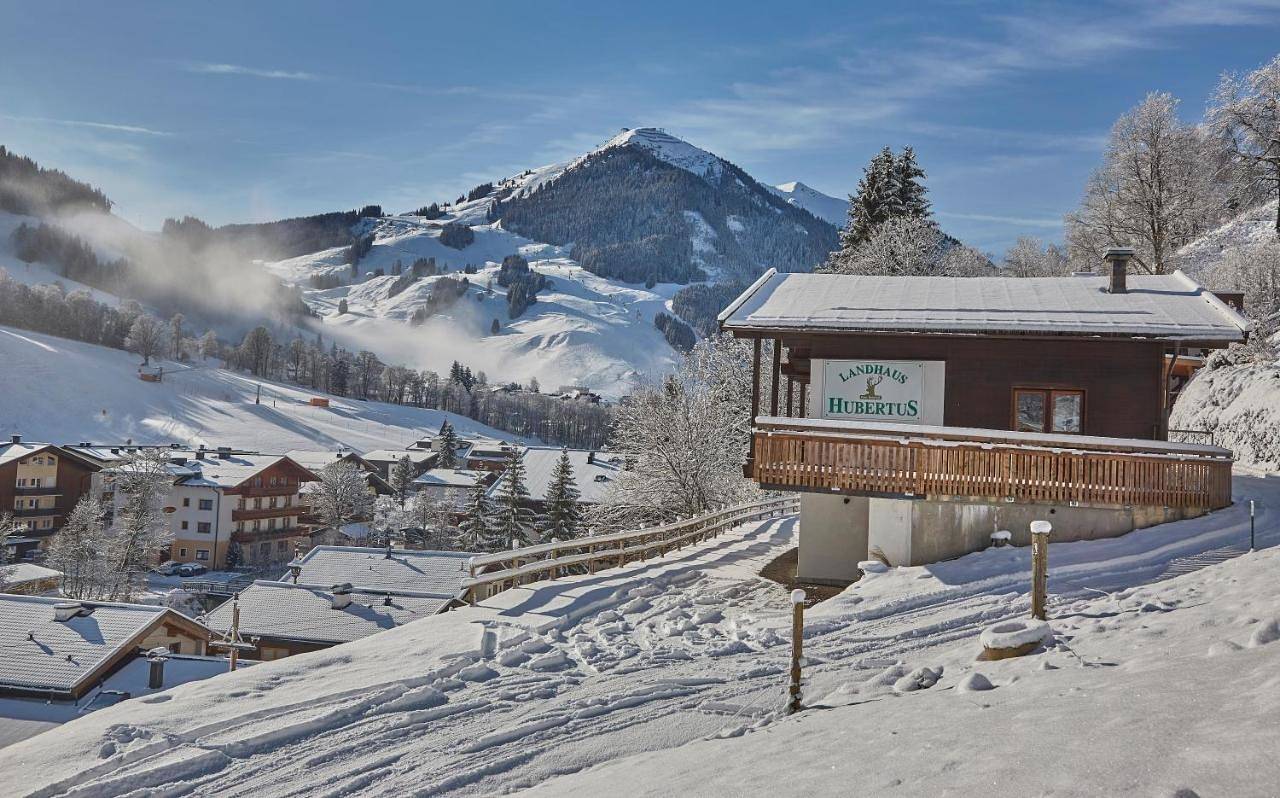 Ganze Wohnung, Chalet Lodge Hubertus in Hinterglemm, Saalbach-Hinterglemm