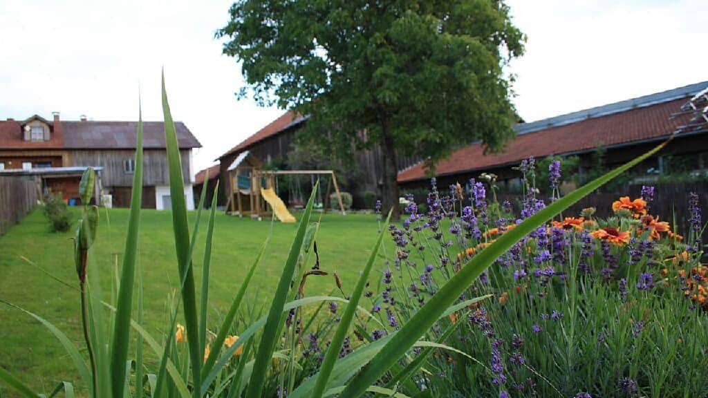 Ferienwohnung Bayerwaldblick - Ferienwohnung in Jandelsbrunn, Ostbayern