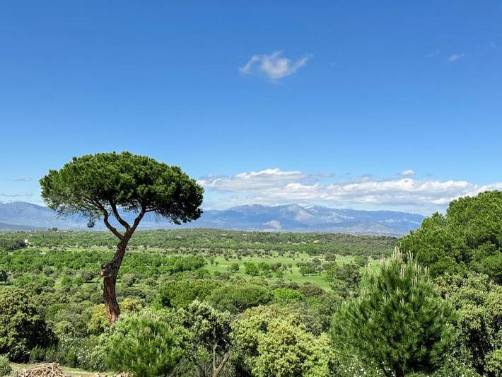 Casa rural para 9 personas, con Balcón y Terraza además de Jardín y Piscina en Valdemorillo - 4