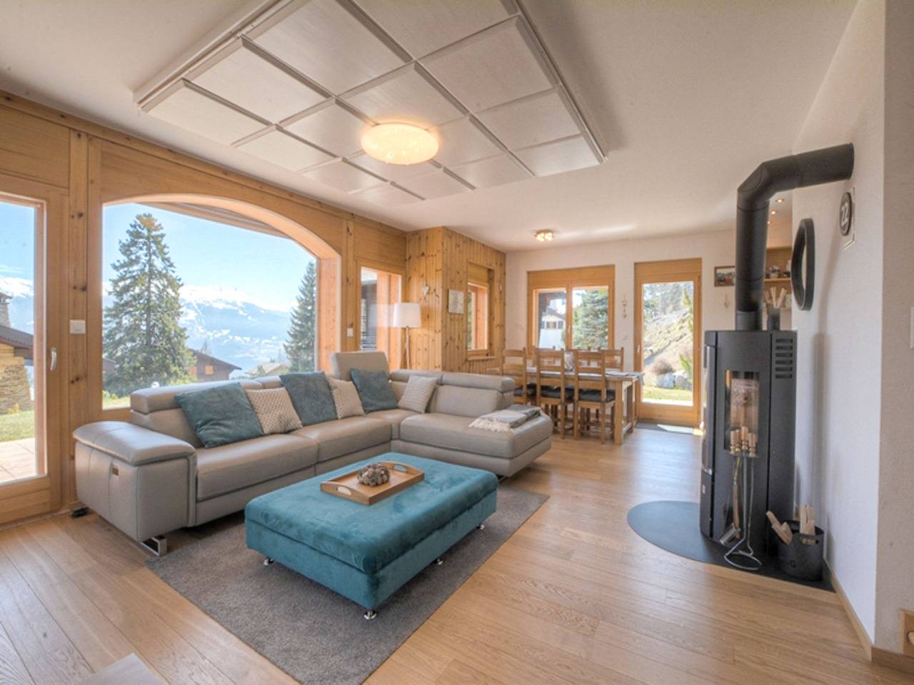 Campanule in Ayent, Région de Sion-Sierre