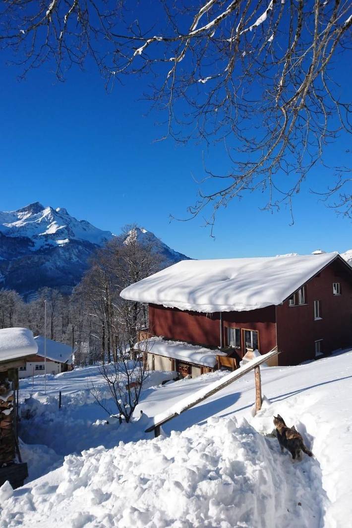 Hütte für 4 Personen, mit Garten in Hasliberg - 2