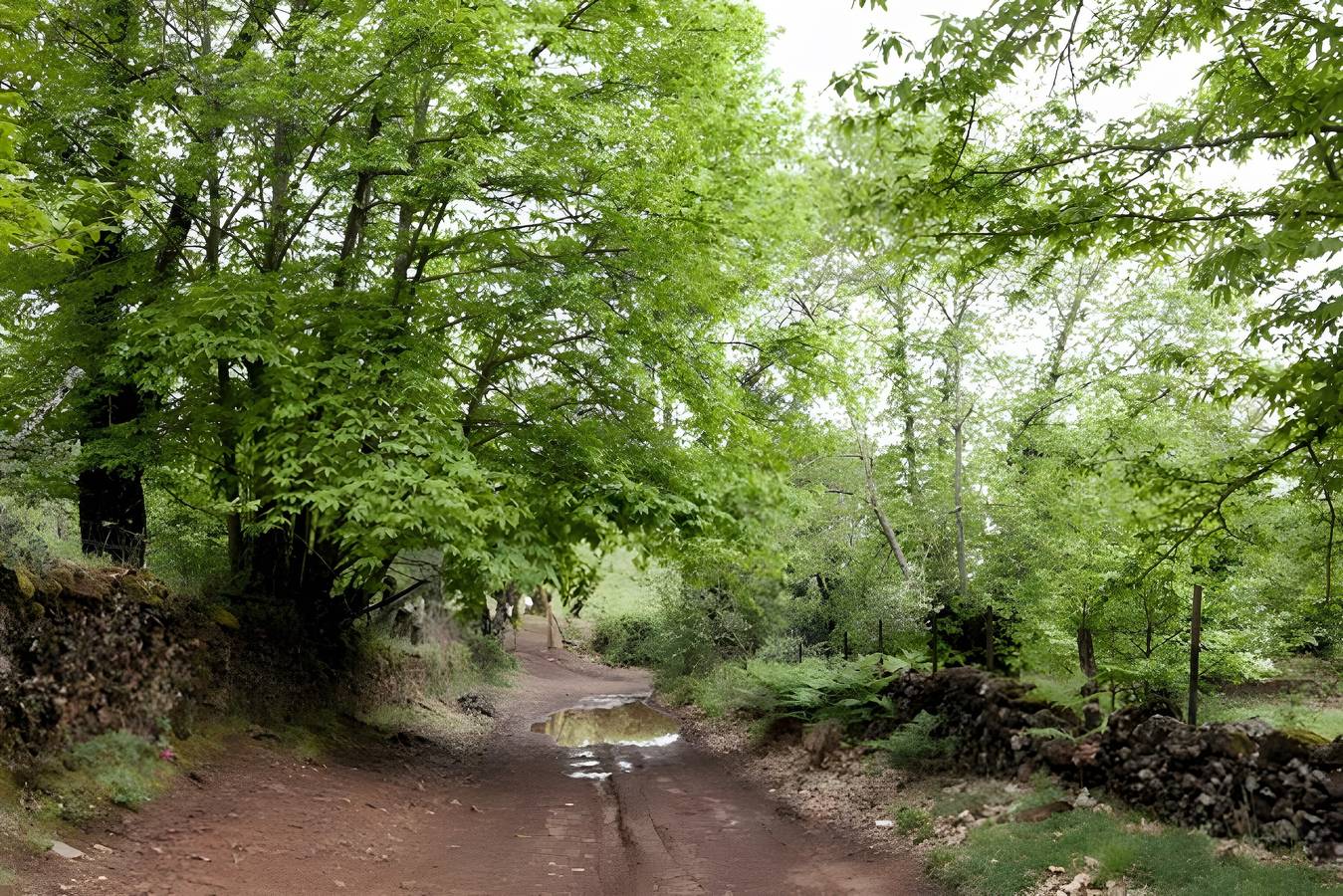Ganze Wohnung, Casa Correcaminos 2, Obergeschoss in Santa Ana la Real, Sierra de Aracena y Picos de Aroche