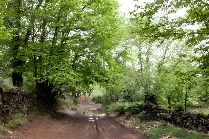 Apartamento de vacaciones para 4 personas en Sierra de Aracena y Picos de Aroche - 4