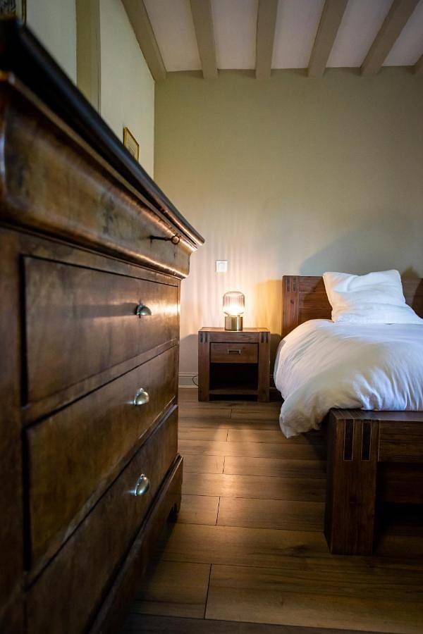 Gîte pour 5 personnes, avec vue ainsi que jardin et vue sur le lac à Yébleron - 4