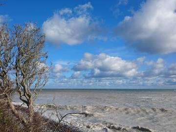 Feriehus til 4 Personer i Møn, Bilde 4