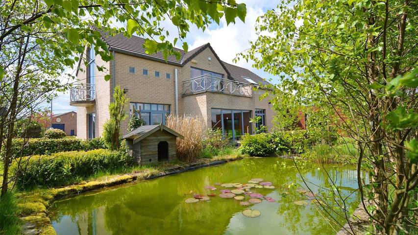 Villa pour 20 personnes à Waimes