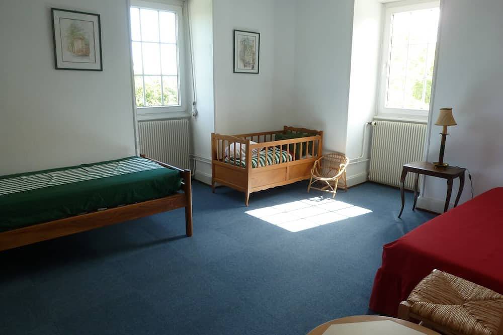 Entire apartment, Colmar, charming apartment in maison de maître***. in Colmar, Colmar region
