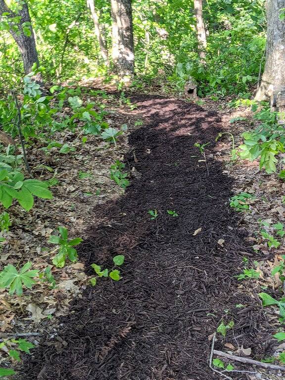 Hocking Hills,Cozy Secluded Cabin,Minutes to Caves/Wifi/Pet Friendly! in Hocking Hills