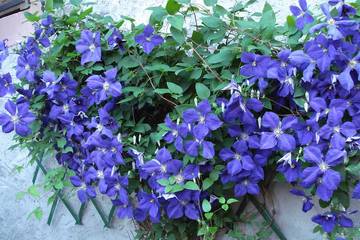 Gîte pour 5 Personnes dans Haselbourg, Sarrebourg, Photo 2