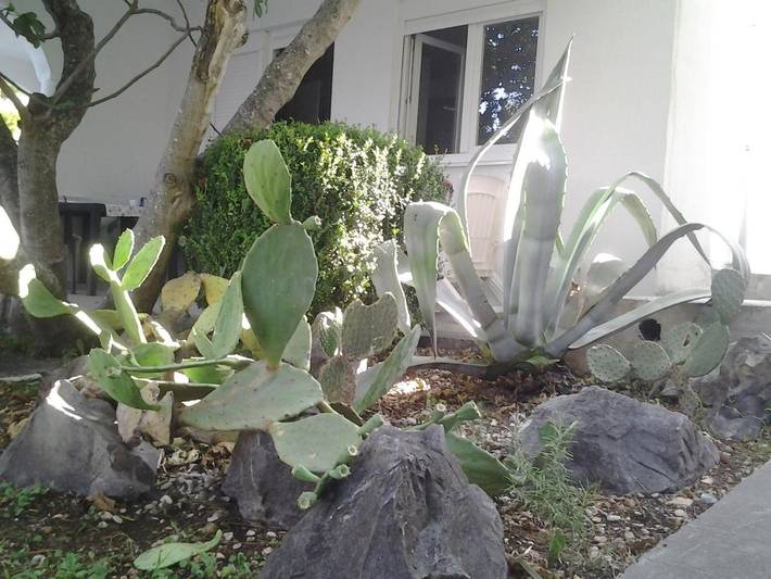 Ferienwohnung für 3 Personen, mit Garten und Ausblick in Krvavica - 4