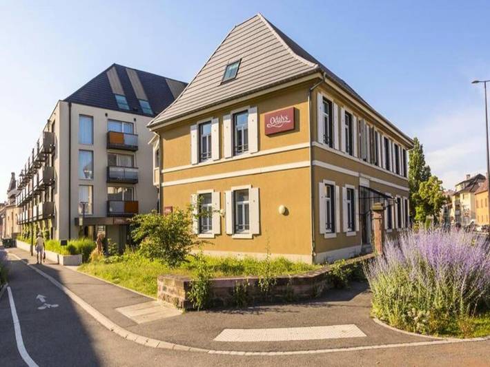 Holiday rental for 4 people, with pool, with pets in Colmar