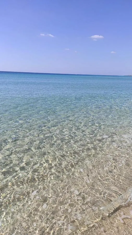 Appartamento vacanze per 6 persone, con animali domestici - 1