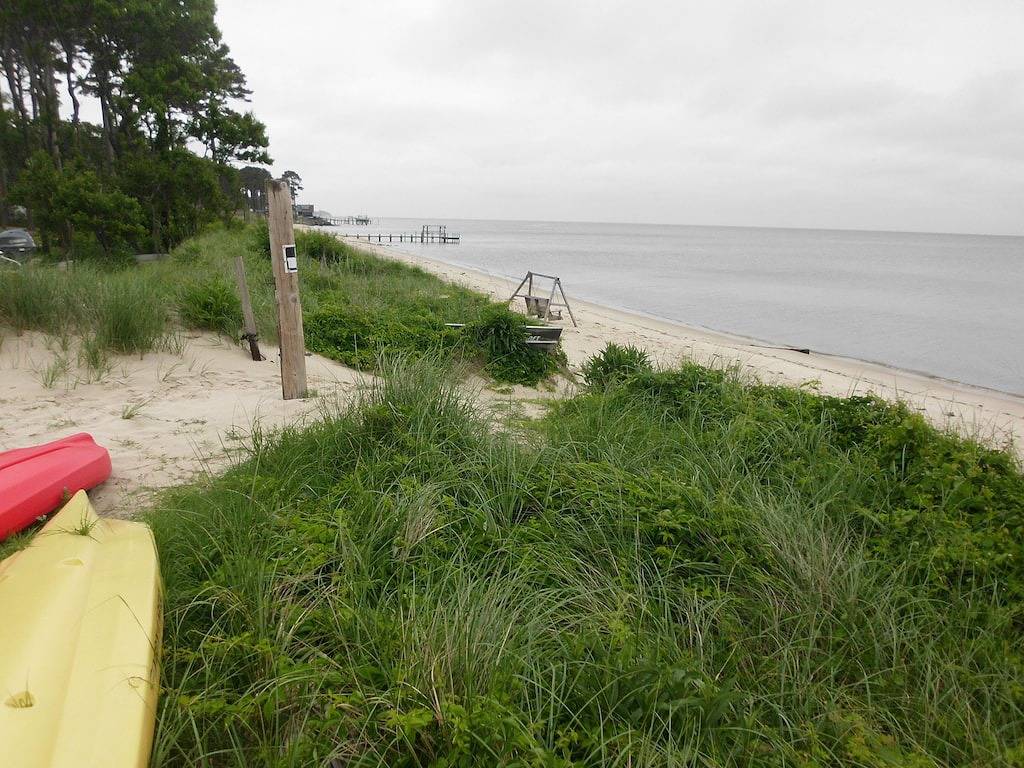 Ganze Wohnung, Dies ist die No Drama Zone, nach der Sie gesucht haben! Kommen Sie, entspannen Sie sich und haben Sie Spaß! in Chesapeake Bay