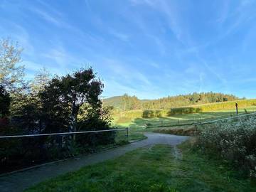 Ferienhaus für 4 Personen in Waldkirchen, Niederbayern, Bild 4