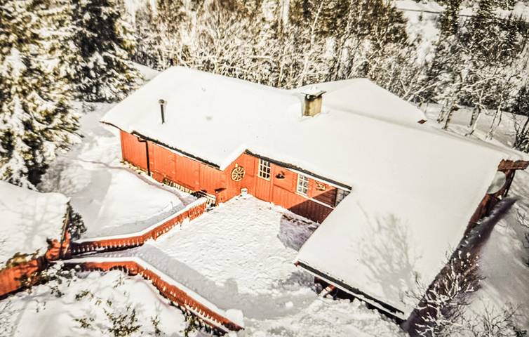 Ferienhaus für 8 Personen, mit Sauna und Garten sowie Terrasse, mit Haustier - 1