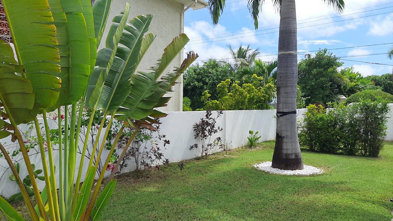 Entire holiday apartment, Tropical Gecko Studio - Sweet Jewel Apartments in Christ Church