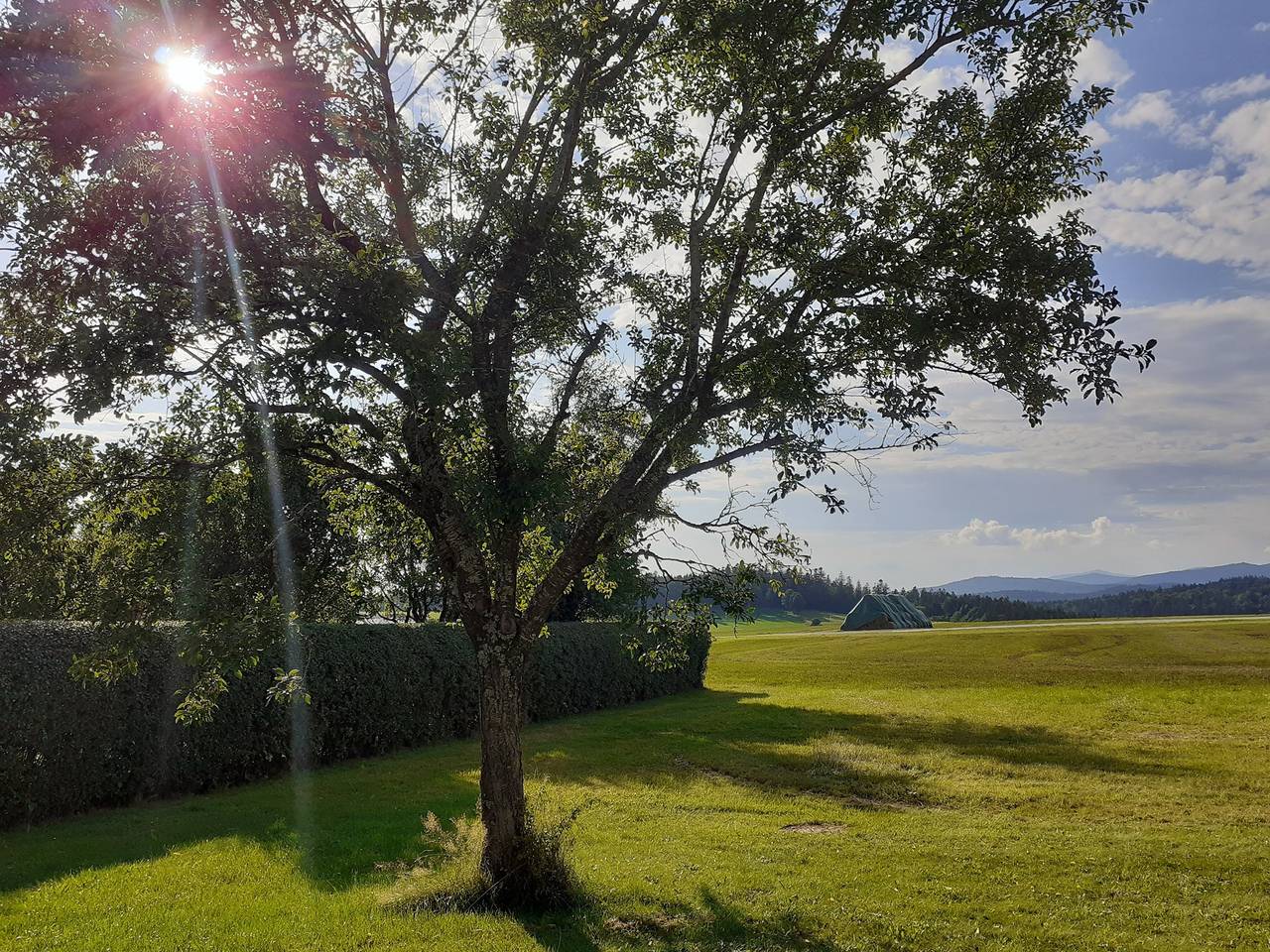 Gasthof Zur Alten Post - Doppelzimmer in Hinterschmiding, Ostbayern