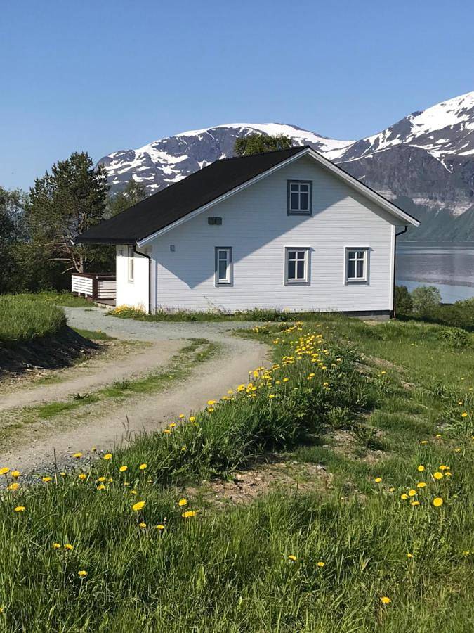 Ferienhaus für 6 Personen, mit Sauna und Ausblick sowie Terrasse in Lyngen - 4