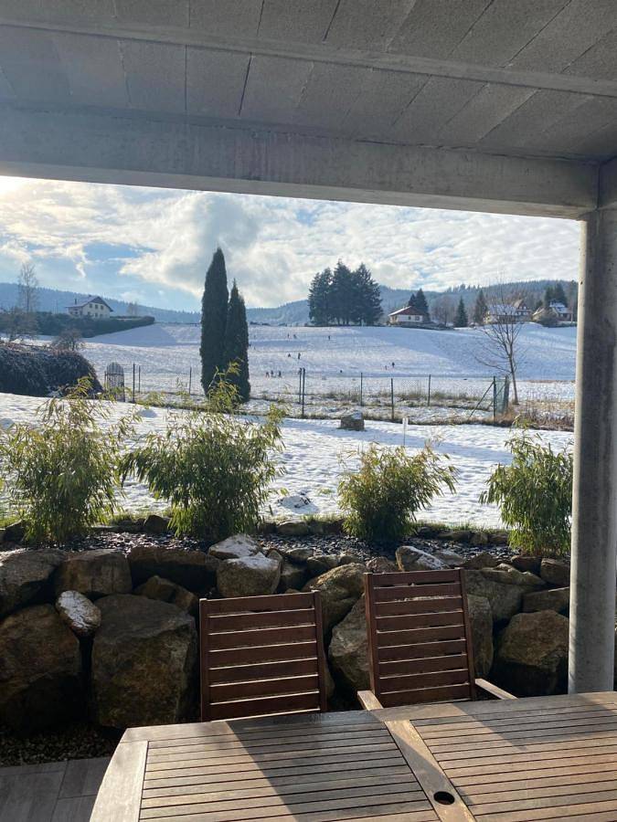 Appartement entier, One-Bedroom Apartment in Le Hohwald, Région de Sélestat-Erstein