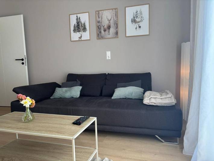 Gîte pour 5 personnes, avec terrasse dans Wutoschingen - 2