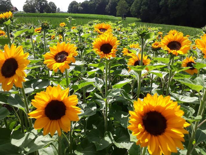 Ferienwohnung für 2 Personen in Bergisches Land - 2