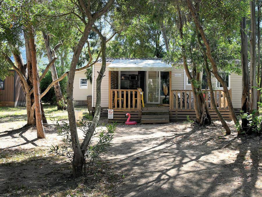 Camping Bella Vista - Mobile home 6 persons - Cintu in Calvi, Calvi region