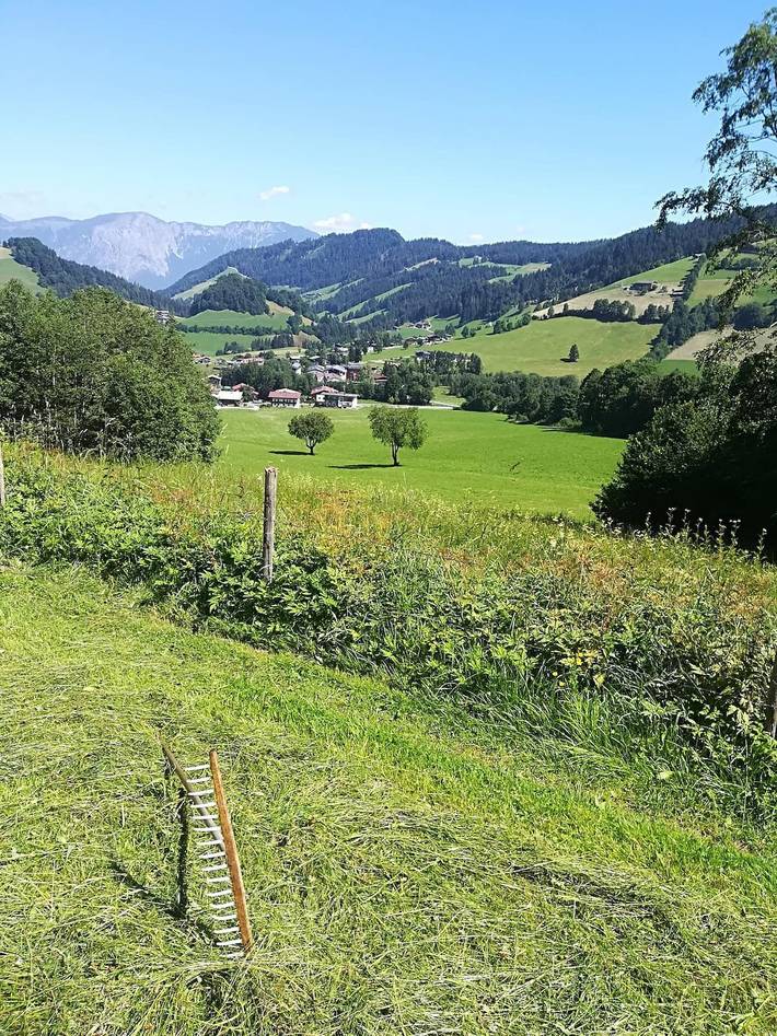 Gîte pour 6 personnes, avec balcon dans Niederau - 2