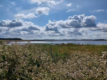 Ferieudlejning til 6 Personer i Vejlby Klit, Vesterhavet, Billede 2