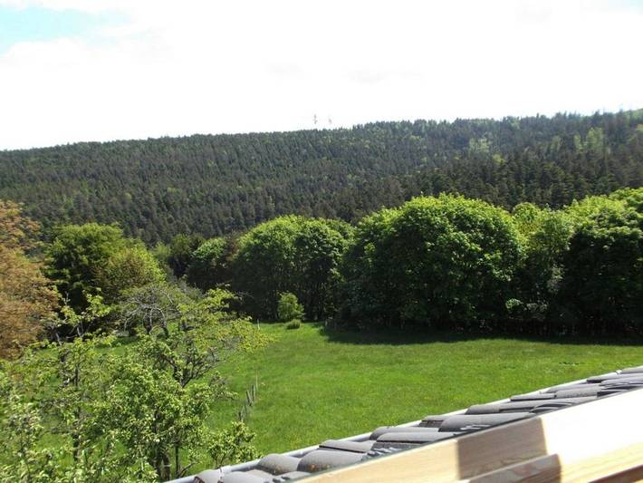 Gîte pour 4 personnes, avec vue et jardin à Dabo - 2
