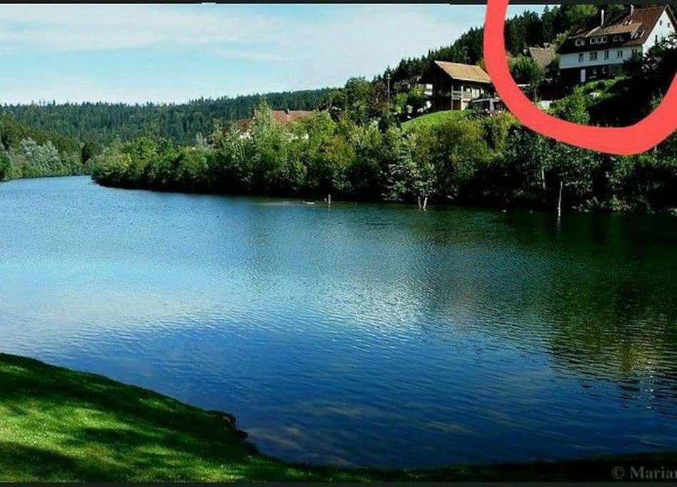 Ganze Wohnung, Apartment with Lake View in Seewald, Nordschwarzwald