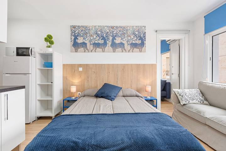 Entire studio, Studio Apartment 'Estudio Larios 9B' with Wi-Fi and Air Conditioning in Malaga Centro Historico, Malaga