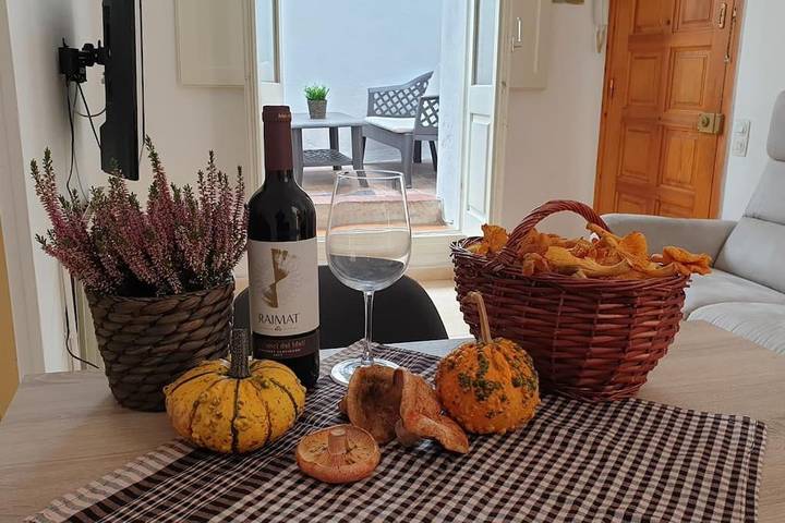 Gîte pour 5 personnes, avec terrasse, animaux acceptés à Sant Joan de les Abadesses - 4