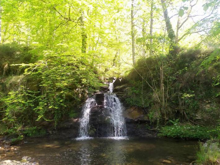 Casa rural para 7 personas, con vistas además de jardín y balcón en Valle de Cabuérniga - 3