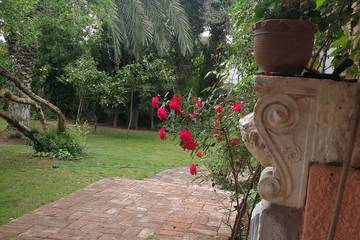 Villa für 6 Personen, mit Garten und Balkon, mit Haustier in Athen