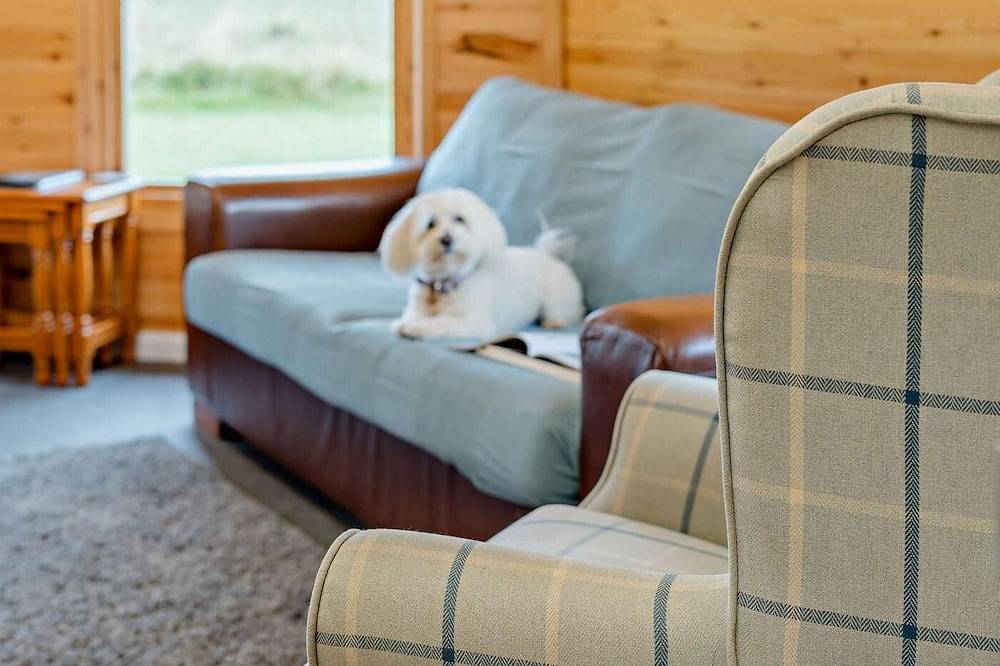 1 Bed in Lanark in Süd Lanarkshire