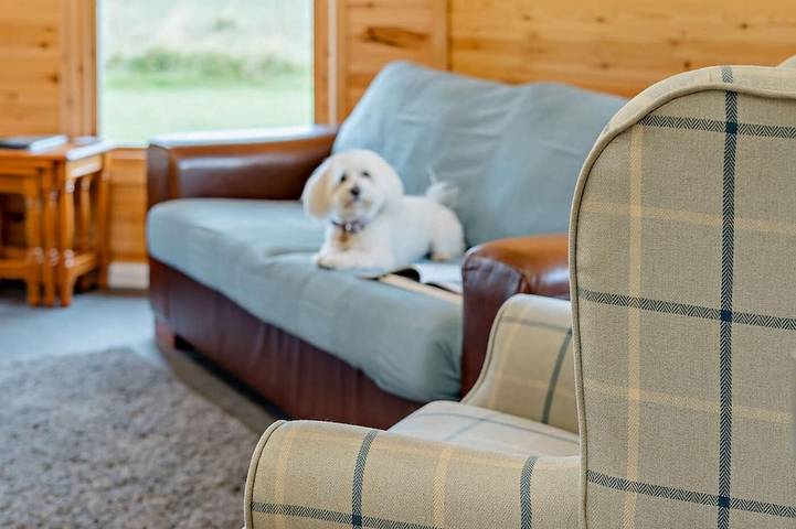 1 Bed in Lanark in Süd Lanarkshire