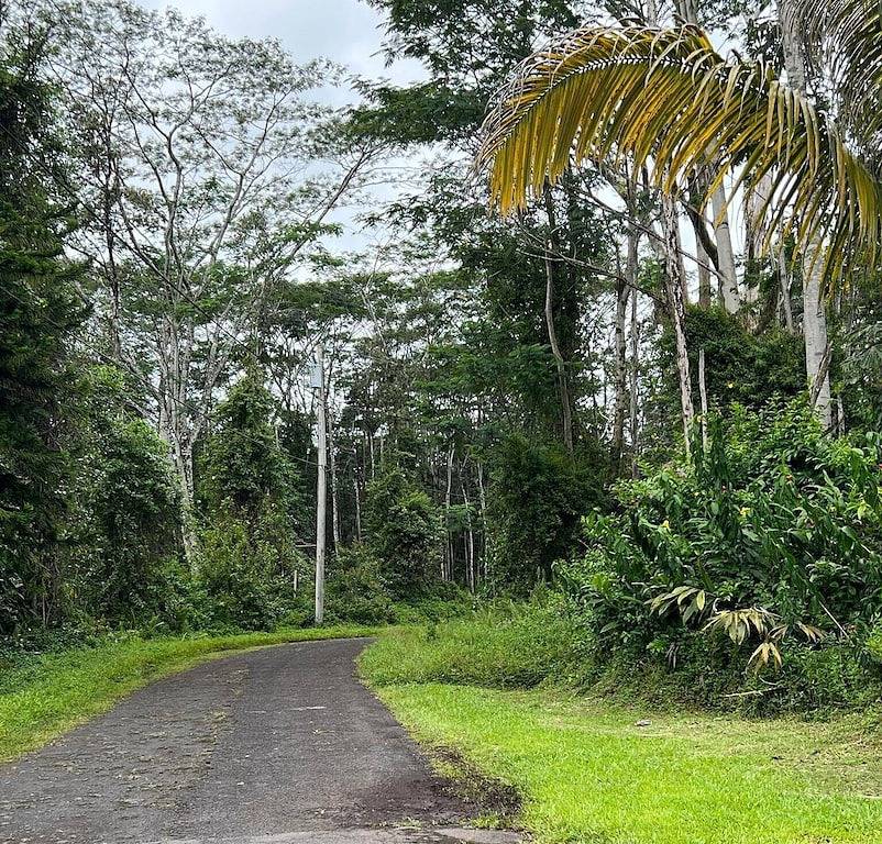 Breezy Lanai with a Bedroom & Bath in Nanawale Estates, East Puna