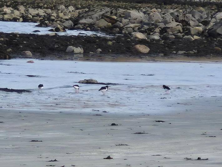 Maison d’hôte pour 2 personnes, avec vue ainsi que jardin et vue sur le lac dans Highlands - 3