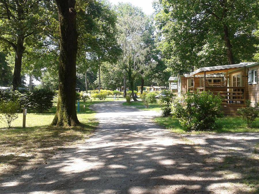 Camping Oaki - Mobilhome 2 personnes - Cactus in Mesnard-la-Barotière, Vallée de la Loire